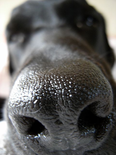 a0093592_23562870.jpg