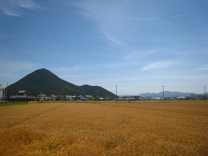 d0121300_4262753.jpg
