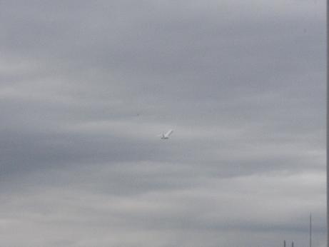 e0006700_21423099.jpg