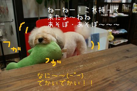 a0102602_2330439.jpg