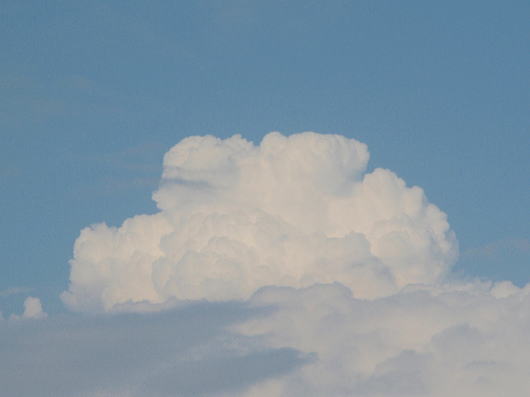 b0055202_19382858.jpg