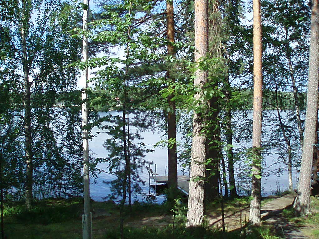 f0005602_15371691.jpg