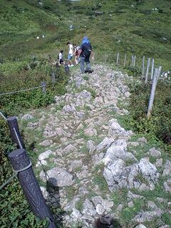 d0093903_19313991.jpg