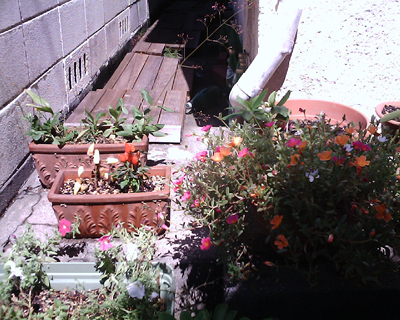 c0030705_18394960.jpg