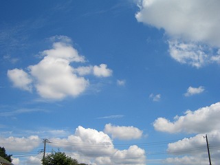 c0030112_13122186.jpg