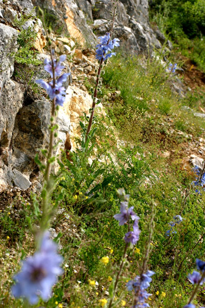 f0115214_1045592.jpg