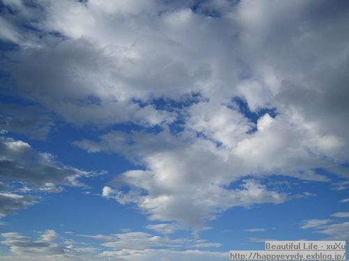 d0005621_132296.jpg