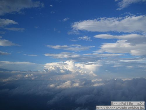 d0005621_1323870.jpg