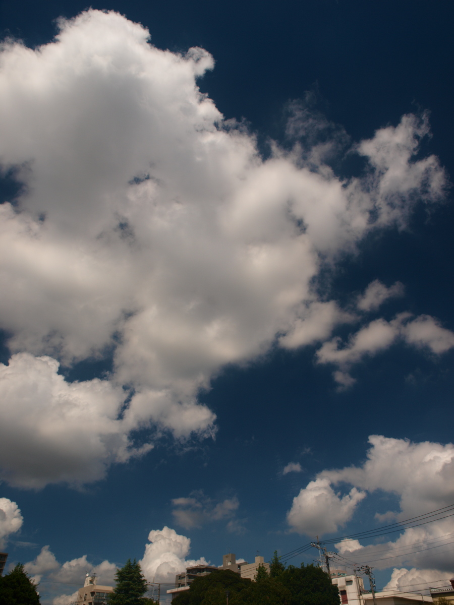 b0137723_23144469.jpg