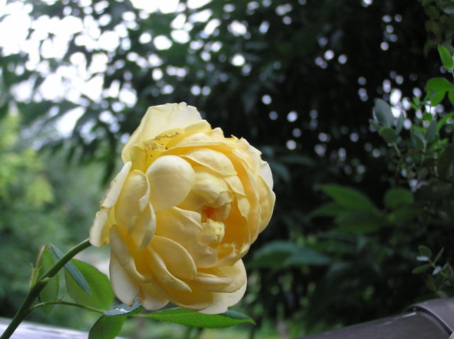 f0128723_0303223.jpg