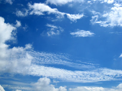 f0137324_2193182.jpg