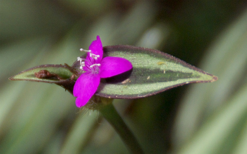 d0053930_543447.jpg