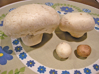 d0094131_21504928.jpg