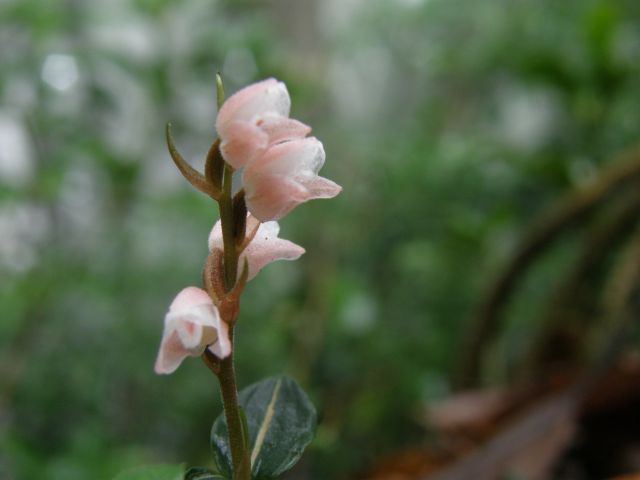 e0145033_19111615.jpg