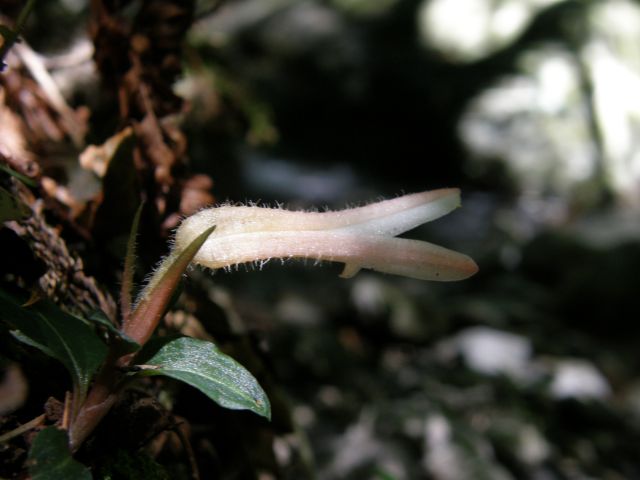 e0145033_19183370.jpg