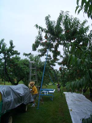 c0144340_2136654.jpg