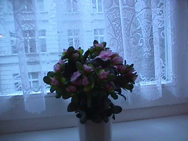 c0165840_17425176.jpg