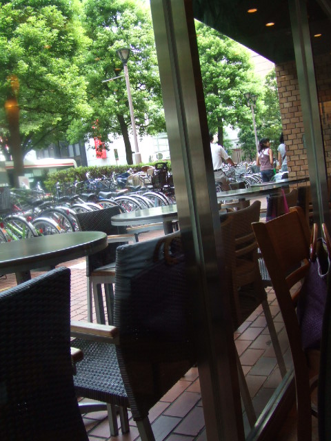 c0071545_1654266.jpg