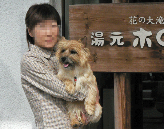 c0147548_21274021.gif