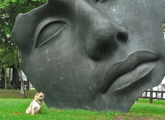c0147548_2133351.gif