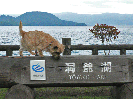 c0147548_2137368.gif