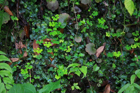 a0024250_18152220.jpg