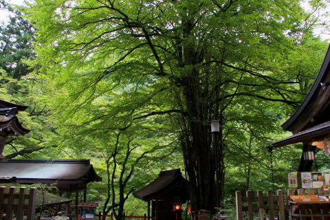 a0024250_18174070.jpg
