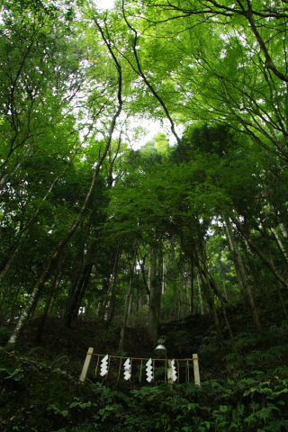 a0024250_1824948.jpg