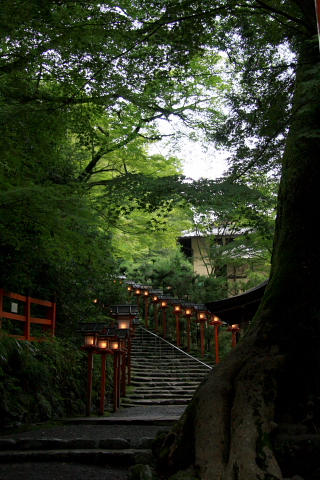 a0024250_1844630.jpg