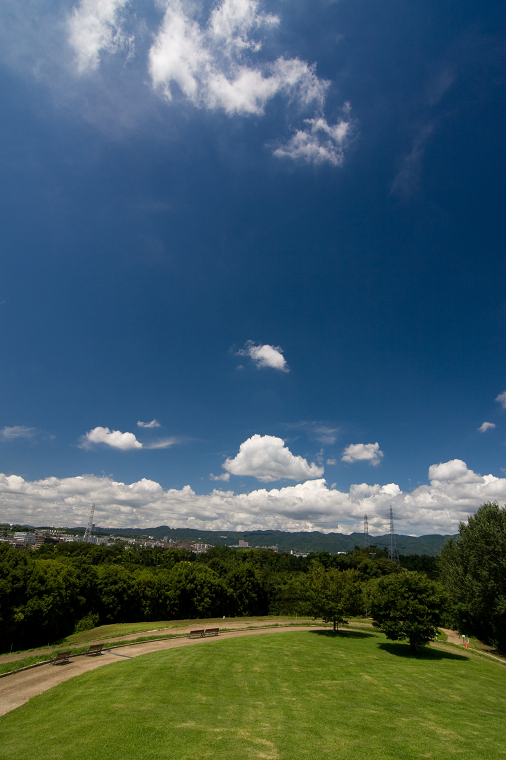 d0141053_2295323.jpg