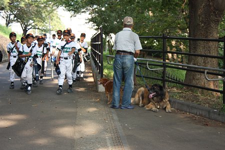 f0171559_0432276.jpg