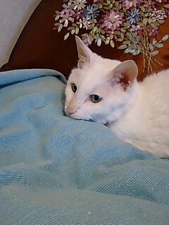 d0076760_17104725.jpg
