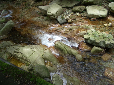 d0105063_17531.jpg