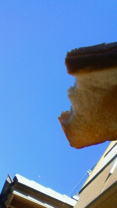 f0025165_952687.jpg
