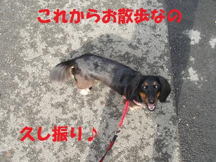 c0151866_11481257.jpg