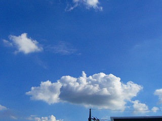 d0072171_1539465.jpg