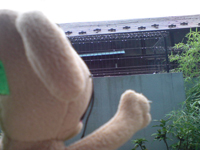 c0158573_13162163.jpg