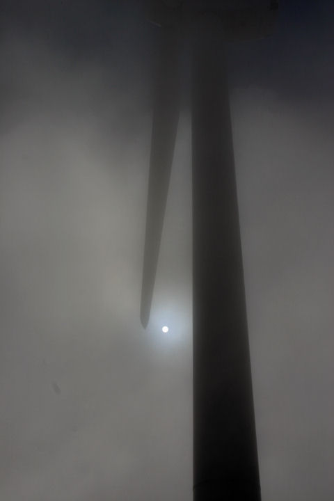 d0079373_1247209.jpg