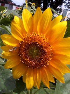 f0140174_1418196.jpg