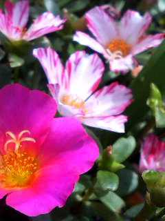 f0140174_14185455.jpg