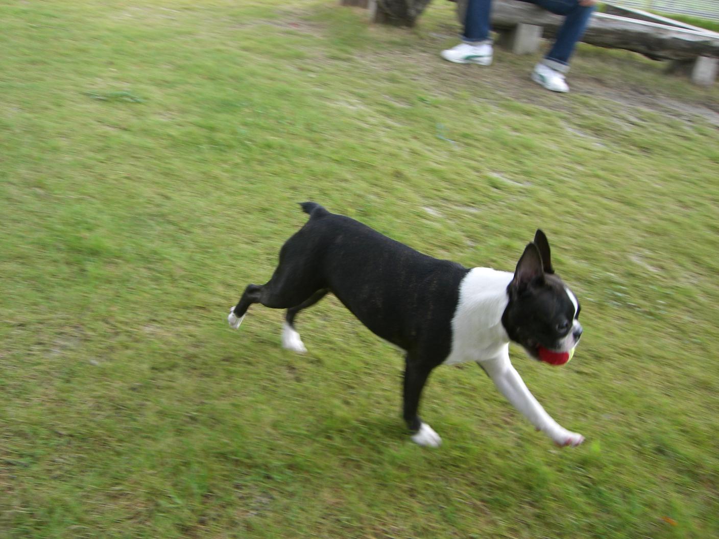 c0179376_2203181.jpg