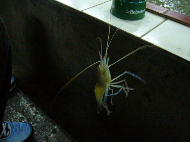 b0006479_17213065.jpg