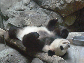 b0014587_9455515.jpg