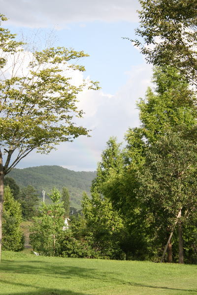 d0073587_2024293.jpg