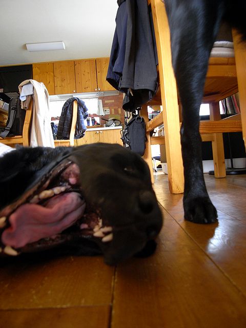 a0093592_037213.jpg