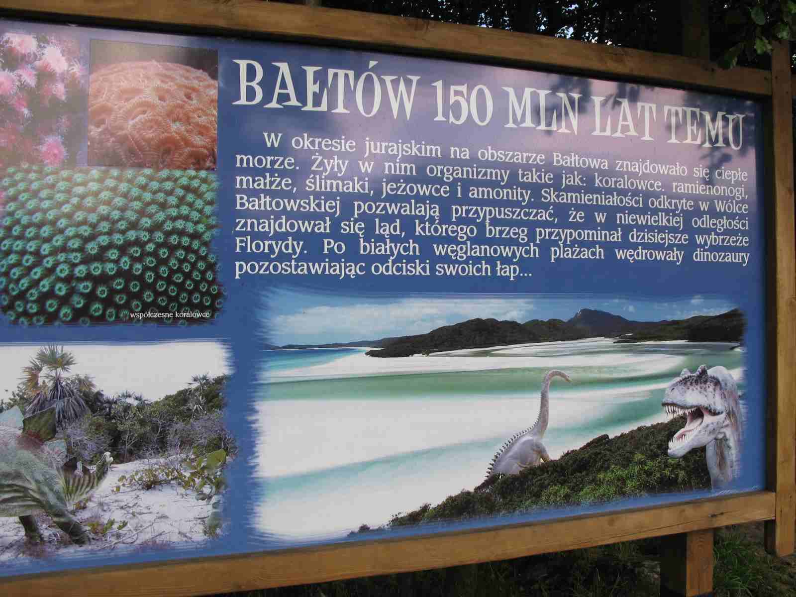 f0129897_1901994.jpg