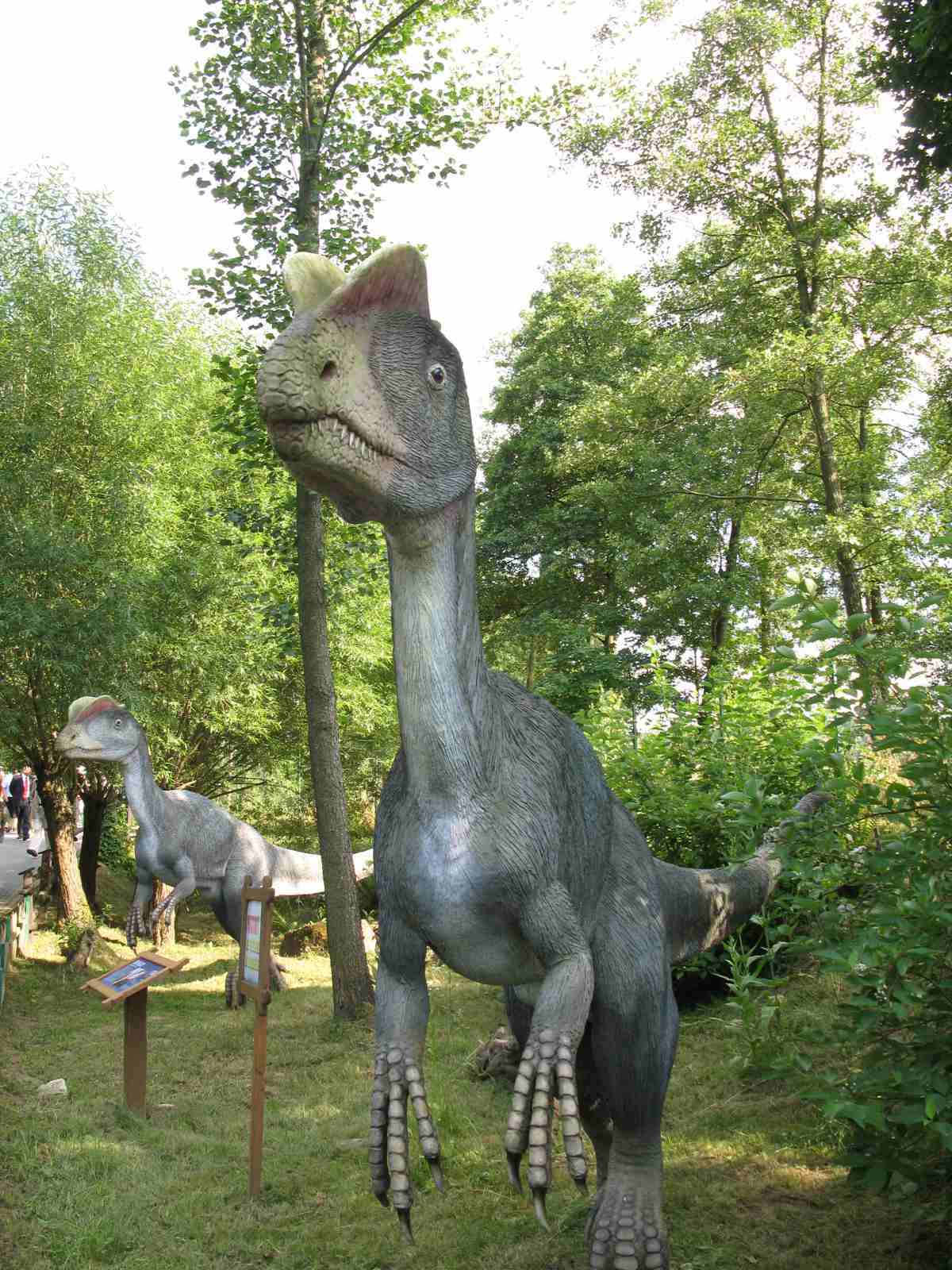 f0129897_19541070.jpg