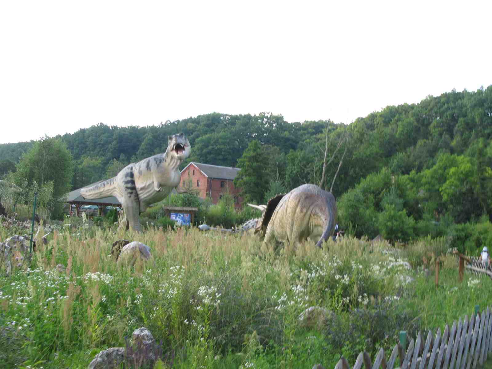 f0129897_2014345.jpg