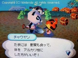 チャウヤン&ドク