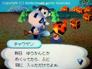 チャウヤン&ドク